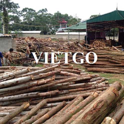 Thương vụ xuất khẩu gỗ bạch đàn tròn sang thị trường Ấn Độ