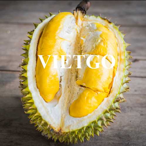 Thương vụ xuất khẩu sầu riêng sang thị trường Trung Quốc