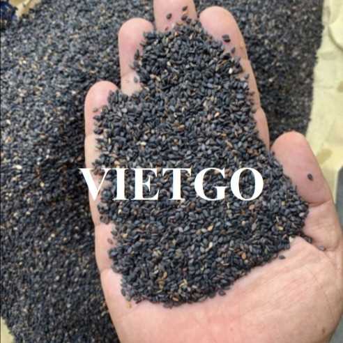 Thương vụ xuất khẩu hạt mè sang thị trường Trung Quốc