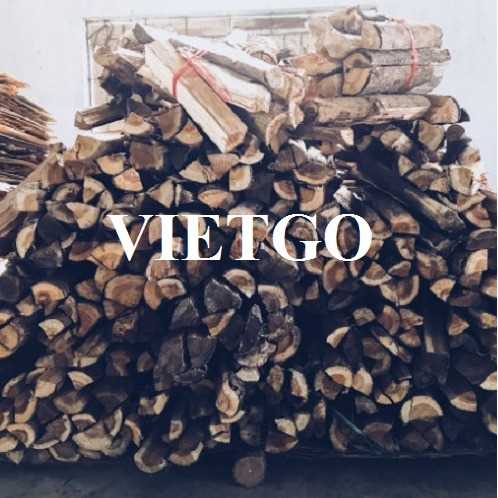 Cơ hội xuất khẩu củi gỗ sang thị trường Hà Lan