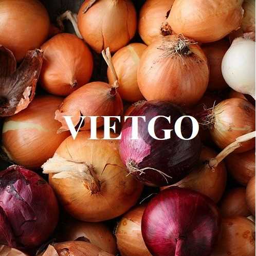 Cơ hội hợp tác xuất khẩu hành sang thị trường Đông Timor