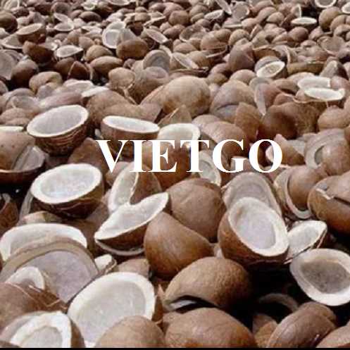 Cơ hội hợp tác xuất khẩu cùi dừa sang Cộng hòa Liberia