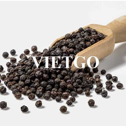 Cơ hội hợp tác xuất khẩu sản phẩm hạt tiêu sang thị trường Iran