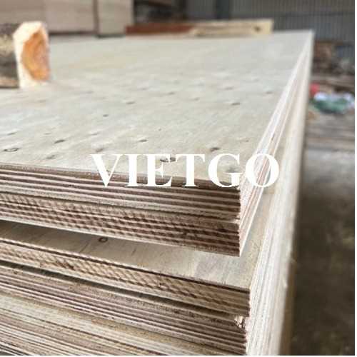 Thương vụ xuất khẩu gỗ dán thương mại sang thị trường Ấn Độ