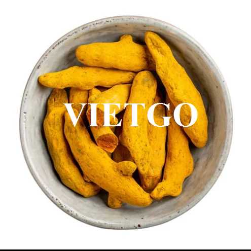 Thương vụ xuất khẩu nghệ  khô sang thị trường Ấn Độ