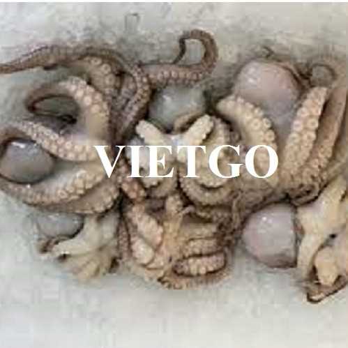 Cơ hội xuất khẩu bạch tuộc sang thị trường Trung Quốc