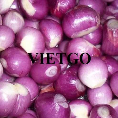 Cơ hội xuất khẩu hành đến thị trường Ấn Độ