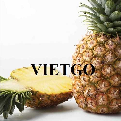 Cơ hội hợp tác xuất khẩu dứa sang thị trường Anh 