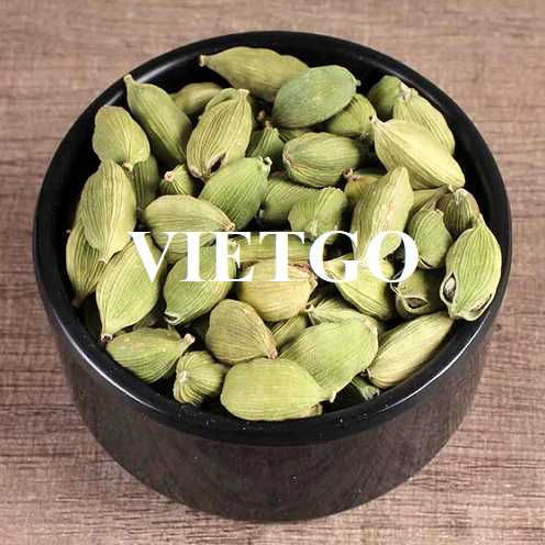 Cơ hội hợp tác xuất khẩu thảo quả sang thị trường Ấn Độ