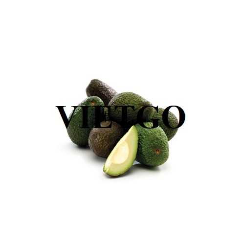 Thương vụ hợp tác xuất khẩu bơ sang thị trường UAE