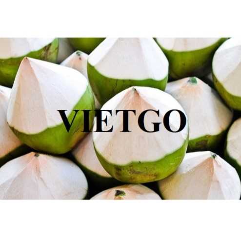 Thương vụ xuất khẩu dừa tươi sang thị trường Ý 