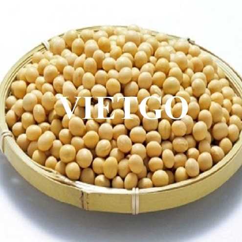 Cơ hội xuất khẩu đậu nành đến thị trường Trung Quốc