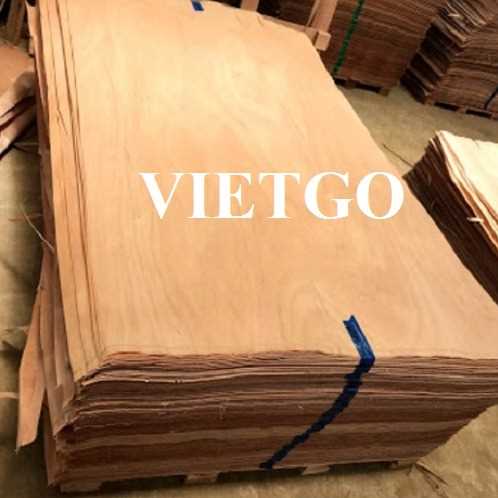 Thương vụ xuất khẩu ván bóc sang thị trường Ấn Độ