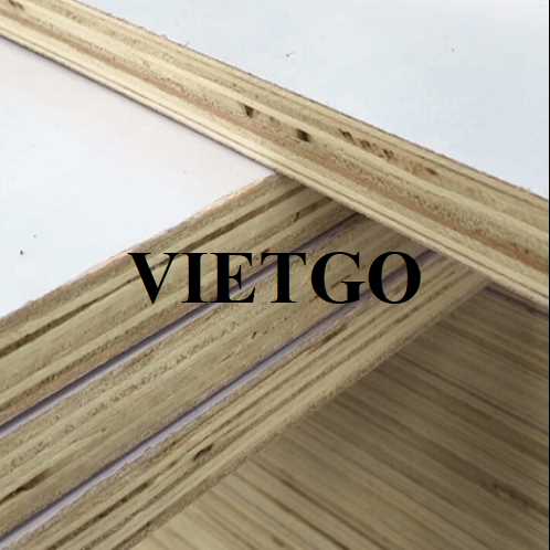 Thương vụ xuất khẩu gỗ dán sang thị trường Ấn Độ 