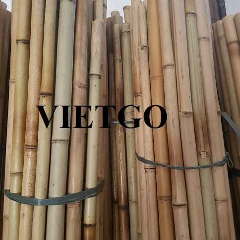 Cơ hội xuất khẩu gậy tre sang thị trường Israel