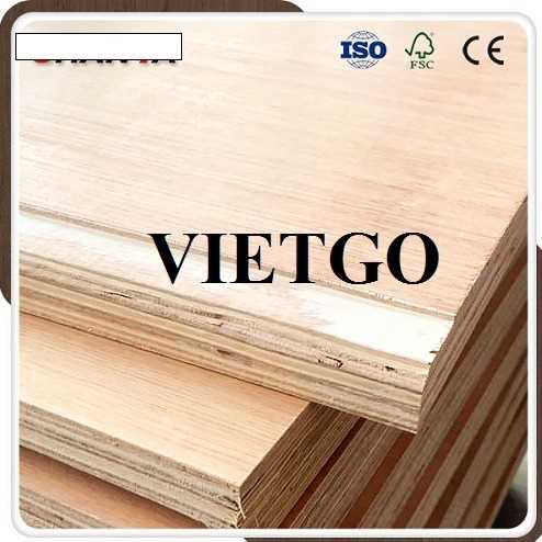 Thương vụ xuất khẩu gỗ dán sang thị trường Ấn Độ