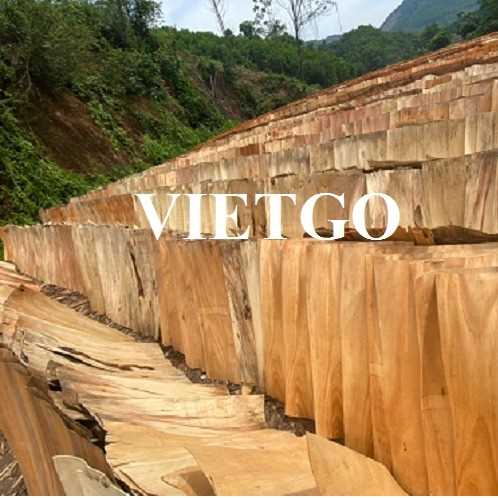 Thương vụ xuất khẩu ván bóc sang thị trường Ấn Độ