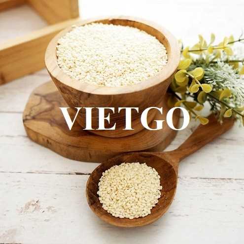 Cơ hội xuất khẩu hạt mè đến từ vị khách hàng UAE
