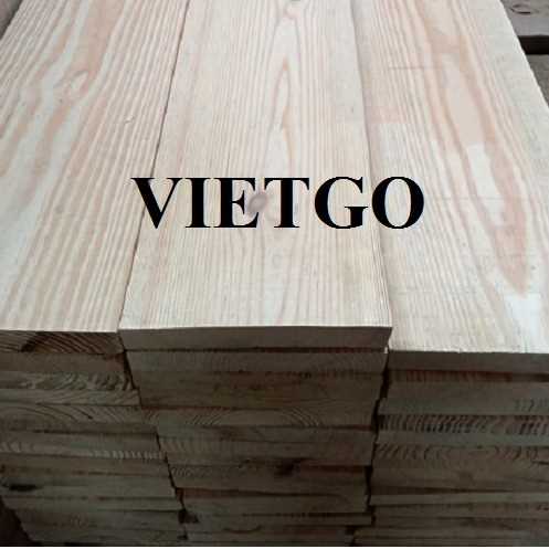 Thương vụ xuất khẩu gỗ thông xẻ sang thị trường Ấn Độ