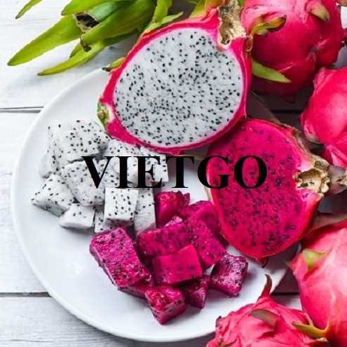 Cơ hội hợp tác xuất khẩu thanh long từ vị khách hàng người Ấn Độ