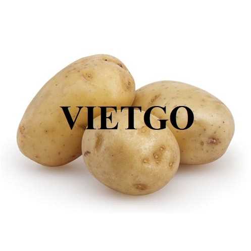 Cơ hội hợp tác xuất khẩu khoai tây đến thị trường Qatar
