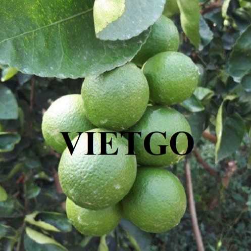 Cơ hội hợp tác xuất khẩu chanh sang thị trường UAE