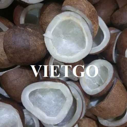 Cơ hội xuất khẩu dừa đến thị trường Ấn Độ