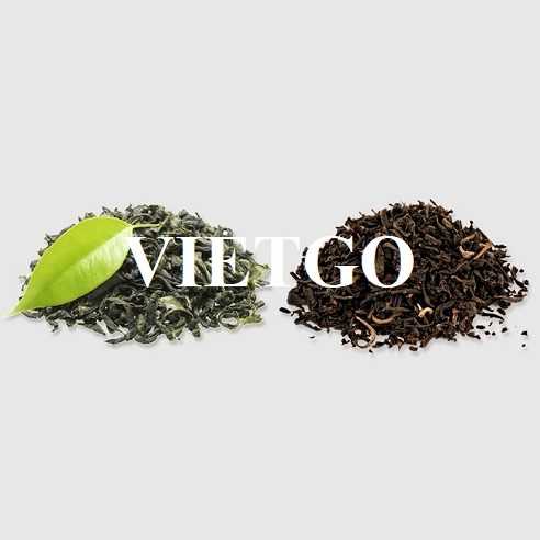 Cơ hội hợp tác xuất khẩu chè từ vị khách hàng người Afghanistan