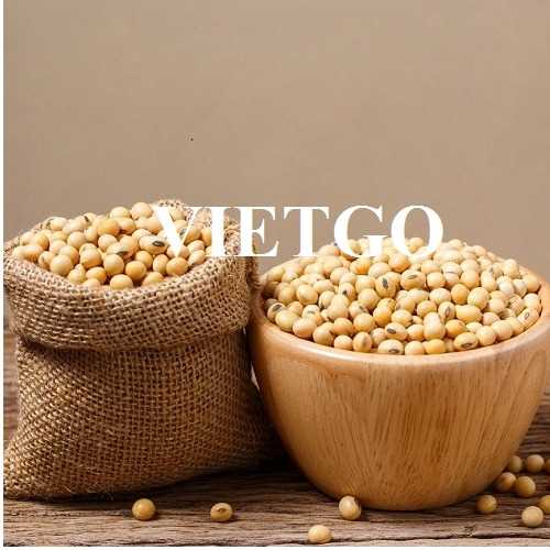 Thương vụ hợp tác xuất khẩu đậu nành sang thị trường Trung Quốc