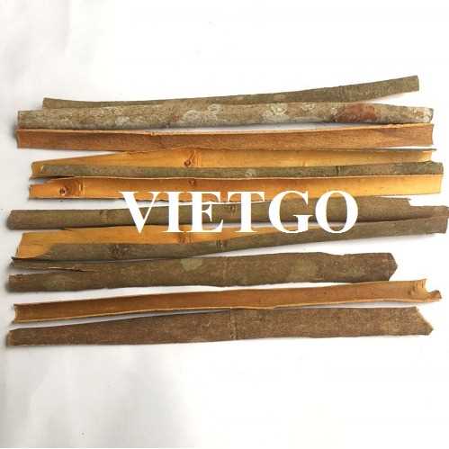 Cơ hội hợp tác xuất khẩu quế sang thị trường Ấn Độ