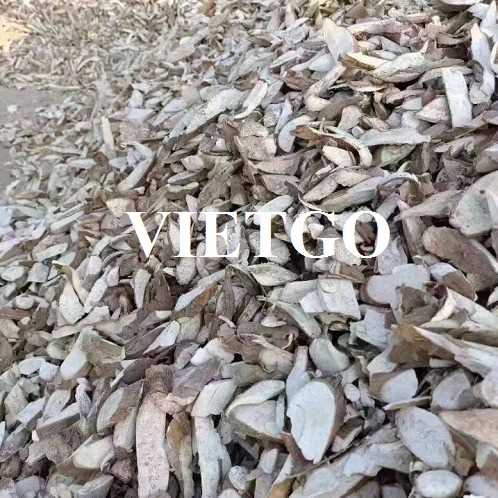 Cơ hội xuất khẩu sắn lát đến thị trường Philippines