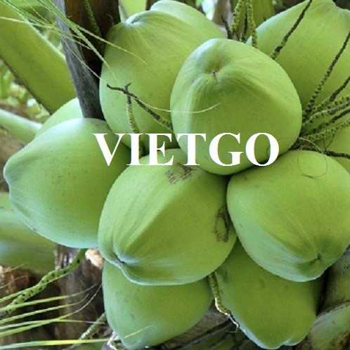 Cơ hội xuất khẩu dừa tươi sang thị trường Pakistan
