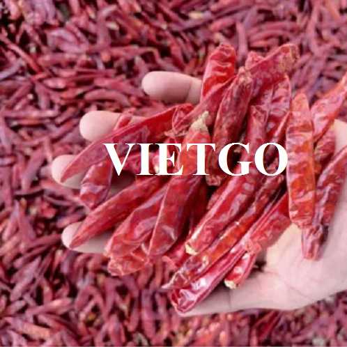 Cơ hội hợp tác xuất khẩu ớt sang thị trường Ấn Độ
