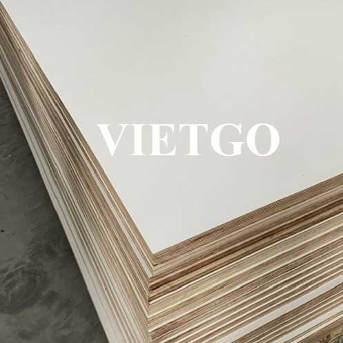 Thương vụ xuất khẩu gỗ dán phủ melamine sang thị trường Israel