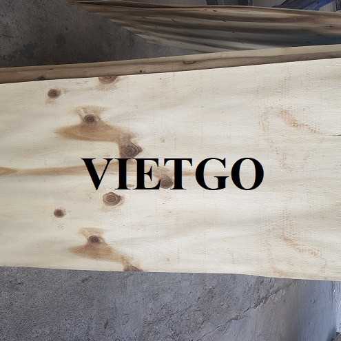 Cơ hội xuất khẩu sản phẩm ván bóc đến thị trường Ấn Độ