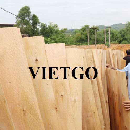Thương vụ xuất khẩu ván bóc sang thị trường Ấn Độ 