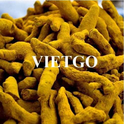 Cơ hội xuất khẩu nghệ khô sang thị trường Ấn Độ