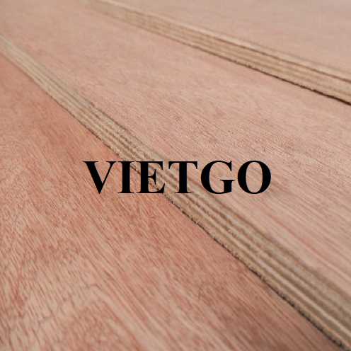 Thương vụ xuất khẩu gỗ dán sang thị trường Ấn Độ 