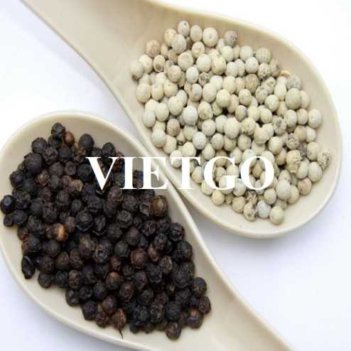 Cơ hội hợp tác xuất khẩu hạt tiêu sang thị trường Mỹ