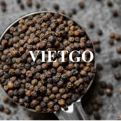 Cơ hội xuất khẩu hạt tiêu sang thị trường Ấn Độ