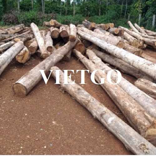 Cơ hội xuất khẩu sản phẩm gỗ teak tròn đến thị trường Ấn Độ