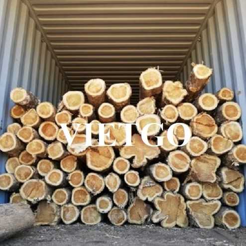 Thương vụ xuất khẩu sản phẩm gỗ teak tròn đến thị trường Ấn Độ