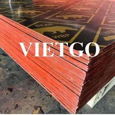 Thương vụ xuất khẩu gỗ dán phủ phim sang thị trường Ấn Độ