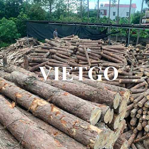 Thương vụ xuất khẩu gỗ tròn sang thị trường UAE 