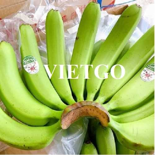 Cơ hội xuất khẩu sản phẩm chuối sang thị trường Malaysia