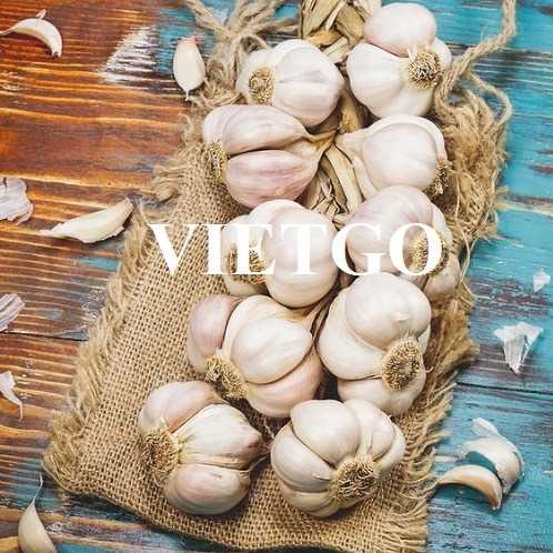 Cơ hội hợp tác xuất khẩu tỏi trắng sang thị trường Ấn Độ