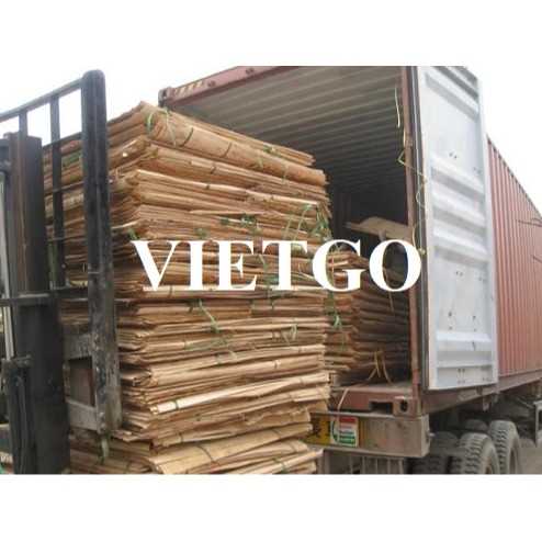 Thương vụ xuất khẩu ván bóc bạch đàn sang thị trường Ấn Độ 
