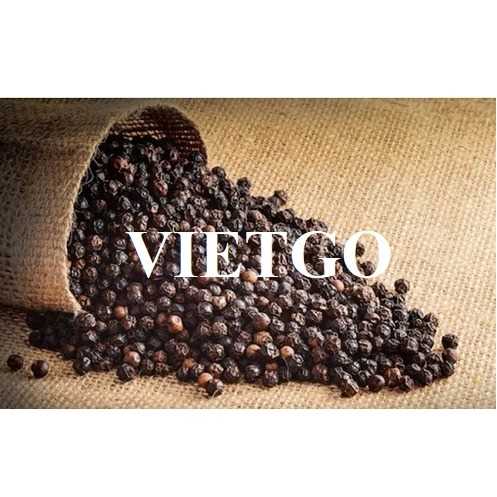 Cơ hội hợp tác xuất khẩu hạt tiêu đen cùng vị khách hàng đến từ Mỹ