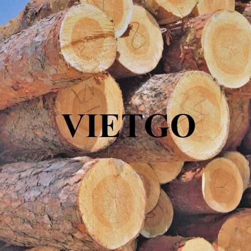 Thương vụ xuất khẩu gỗ thông tròn sang thị trường Malaysia