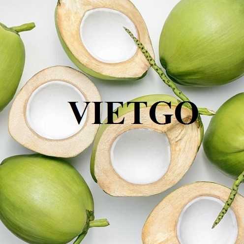 Thương vụ xuất khẩu dừa tươi sang thị trường Ấn Độ